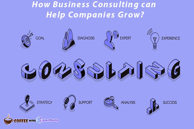 How Business Consulting can Help Companies Grow?